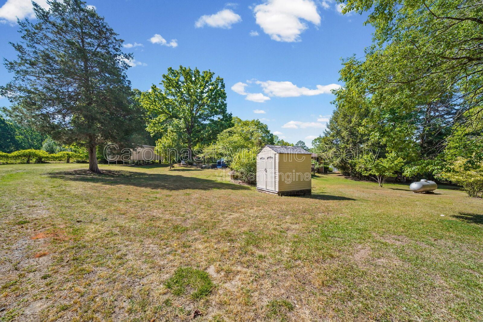 Spacious 4-Bed Oasis with 2.5 Baths Tucked Away With Tons of Space property image
