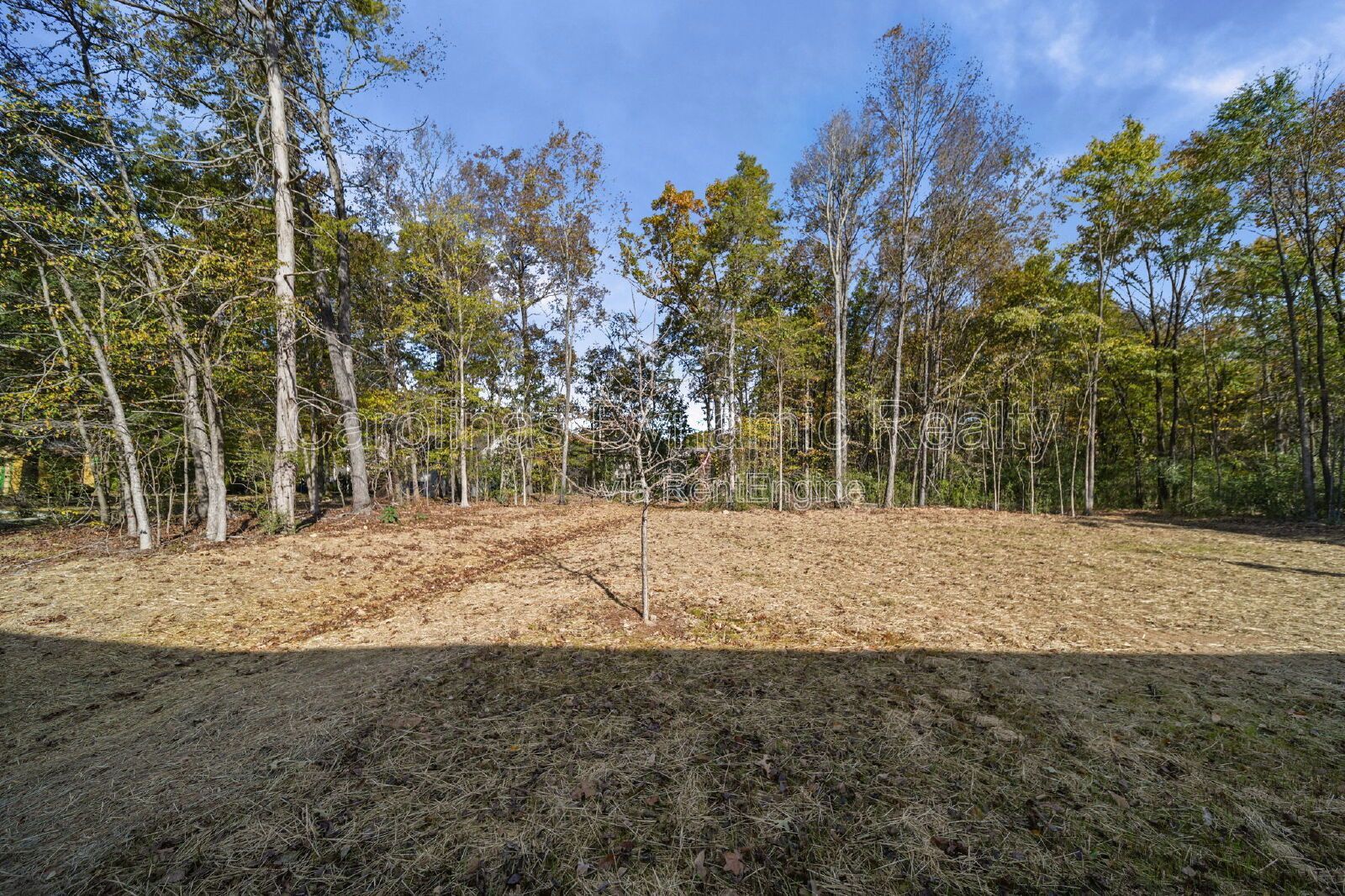 New Construction | 4 Bedrooms | 2.5 Baths | Granite Counters | Stainless Steel Appliances property image