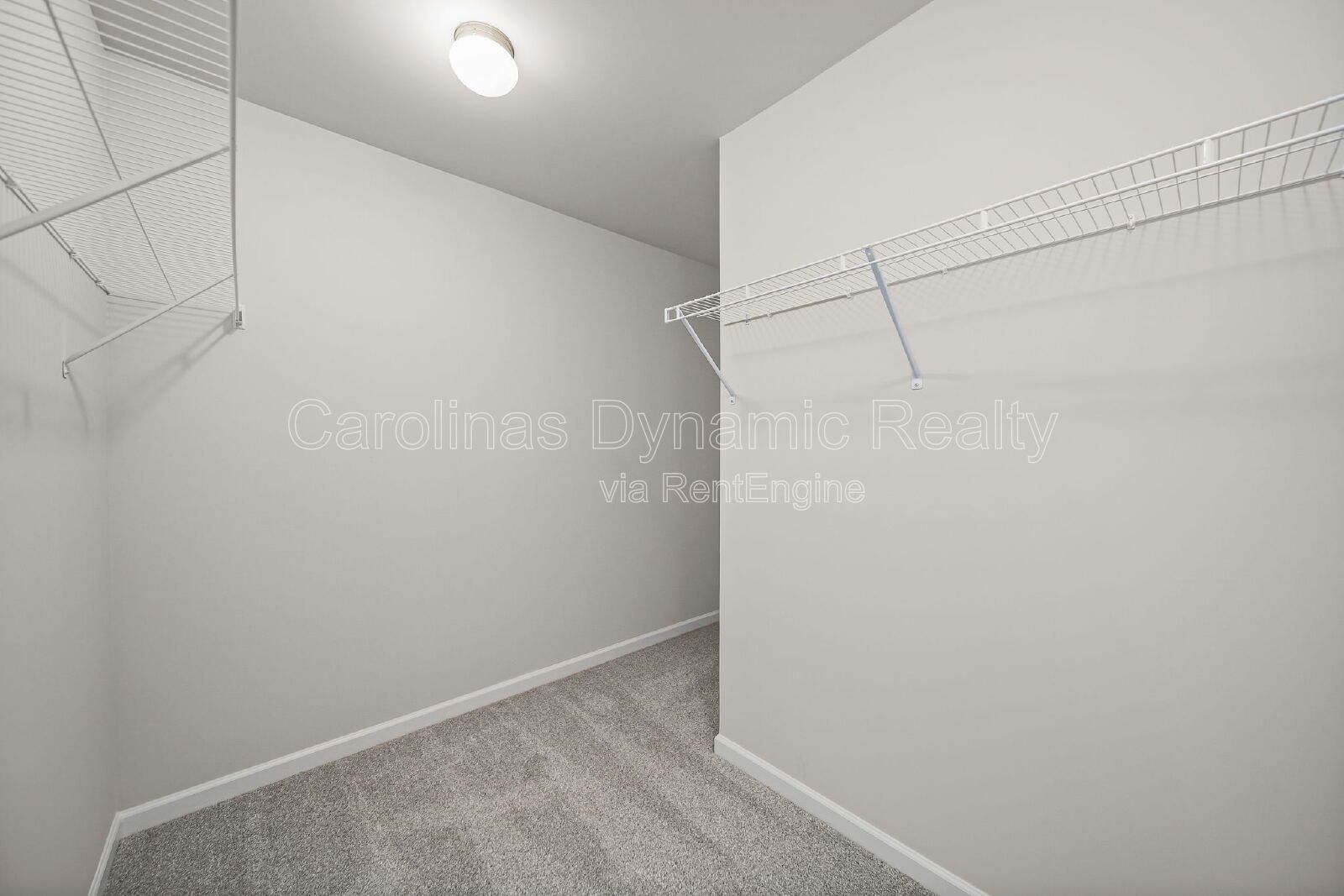 University Location | Brand New Construction | Spacious Rooms | 4 Bedrooms property image