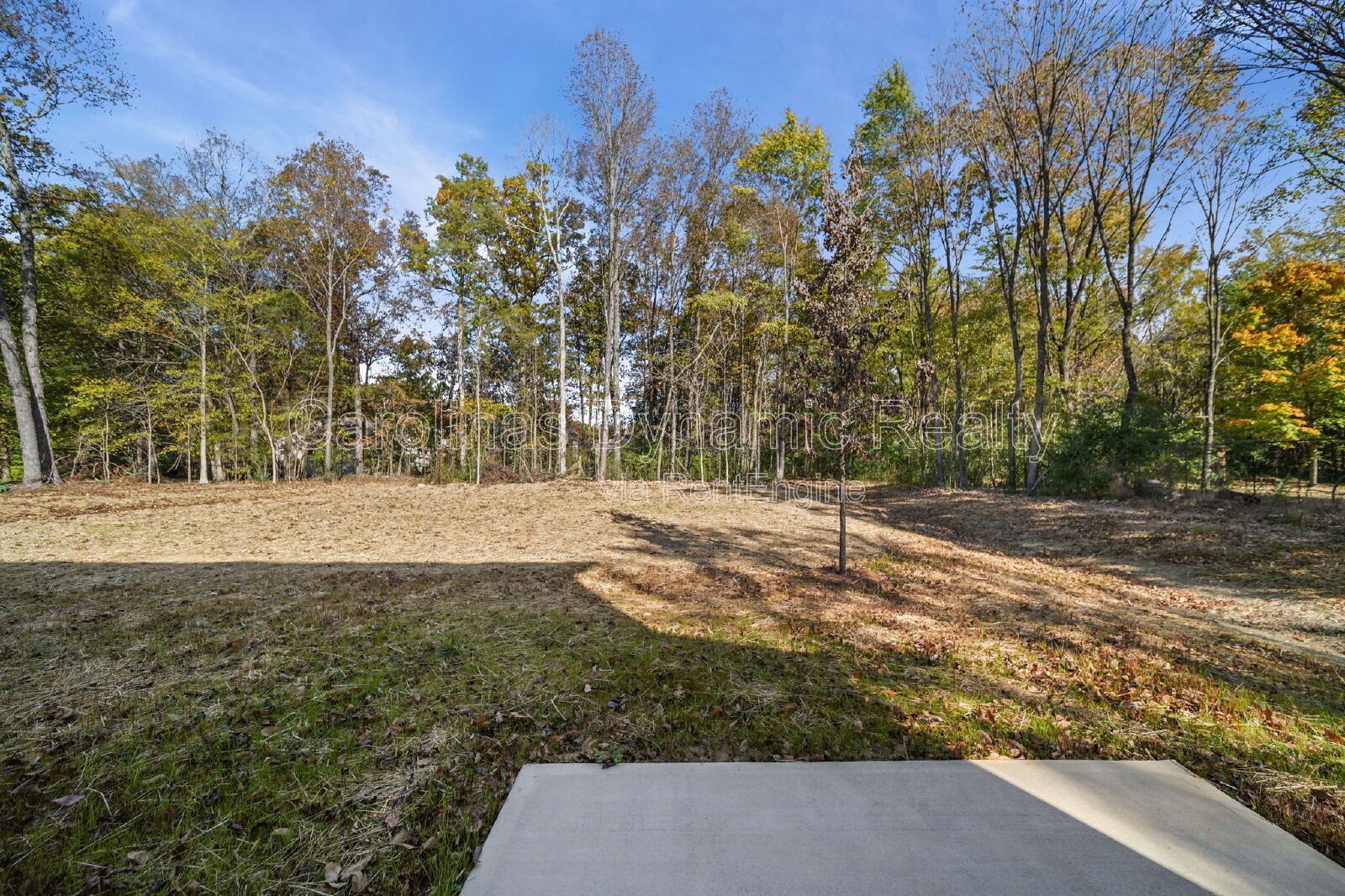 University Location | Brand New Construction | Spacious Rooms | 4 Bedrooms property image