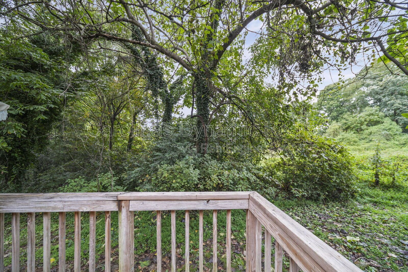 2 Bedrooms | 1 Bath | Hardwood Floors | Fresh Paint | Private Deck property image